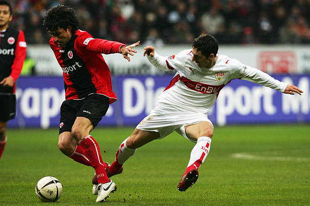 8个月的恢 8个月的恢